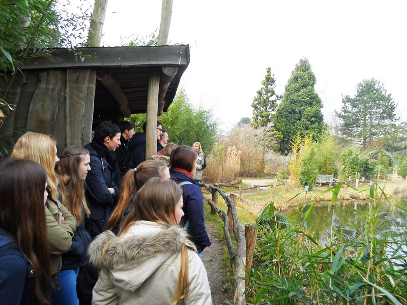 Emsland-Schüler philosophieren im Rheiner Zoo