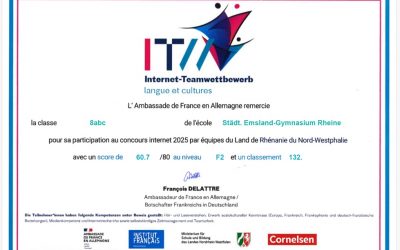 Internet- Teamwettbewerb „Langue et cultures“