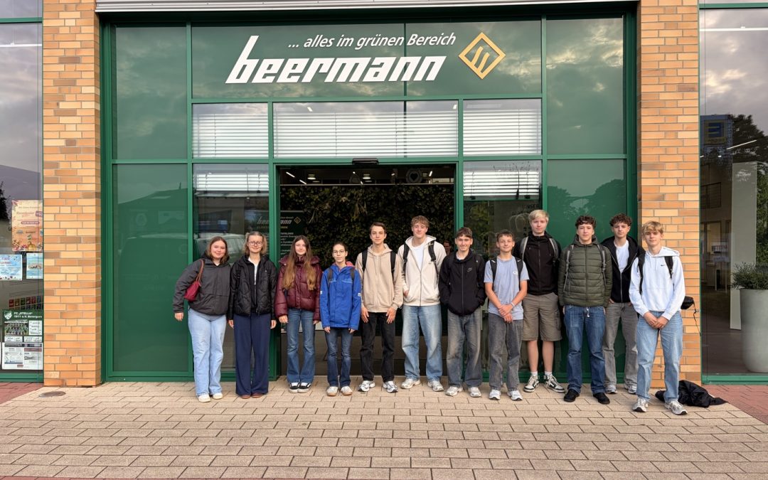 Schalter, Kabel, Lampen: Physikkurs des Emsland-Gymnasiums erprobt das Elektrohandwerk